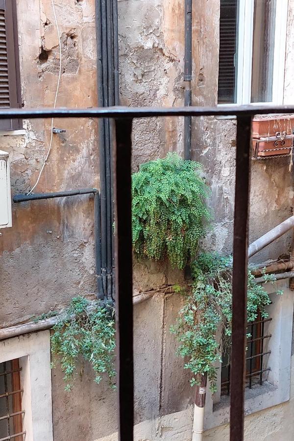 Cappellari Διαμέρισμα Ρώμη Εξωτερικό φωτογραφία